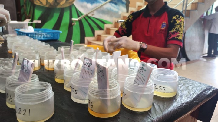 2 Ribu Pegawai Honorer Jalani Tes Urine Narkotika, Petugas Kawal di Toilet