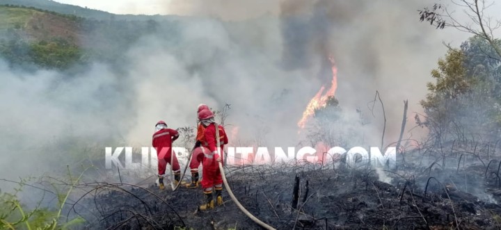 10 Hektar Lahan di Kanaan Terbakar, Puluhan Petugas Dikerahkan