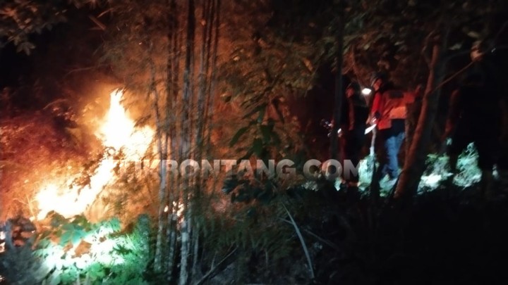 Kebakaran Lahan di Kampung Gotong Royong, Api Nyaris Sambar Rumah Warga