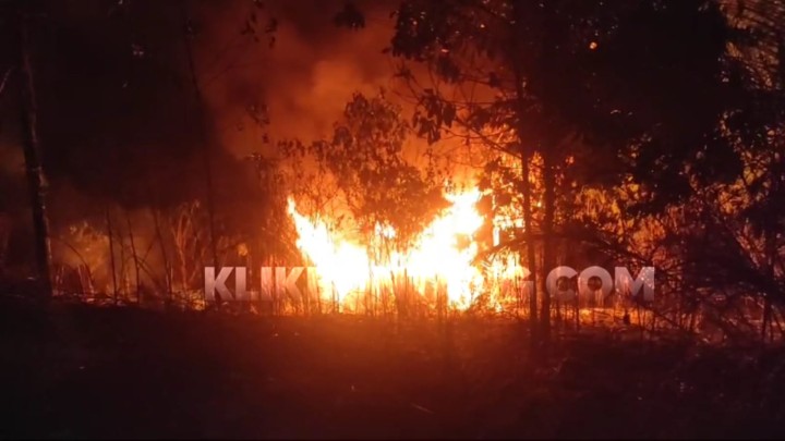 7 Hektar Lahan di Kanaan Terbakar, 1 Pondok Warga Ludes Dilalap Api