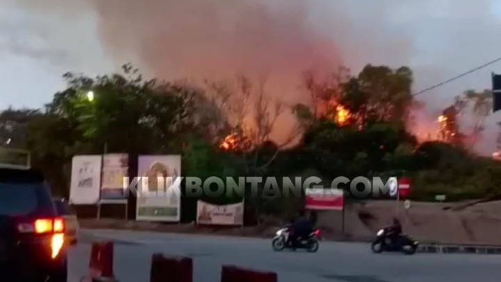 Kebakaran Lahan Terjadi di Dekat RS PKT, Petugas Padamkan Api Berjam-jam