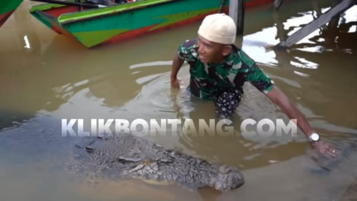 Selepas Buaya Riska Direlokasi, Mimpi Ambo dengan Kandang Baru 'Putrinya' (Jilid 2)