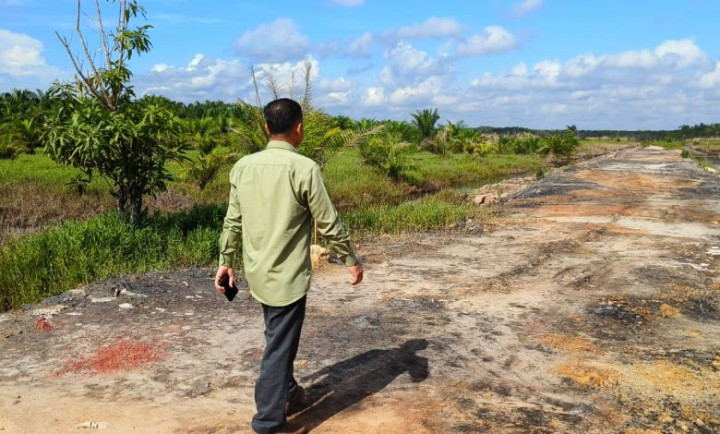 Turun Lapangan, Joni Tinjau Lokasi Pembangunan Jalan di Muara Gabus