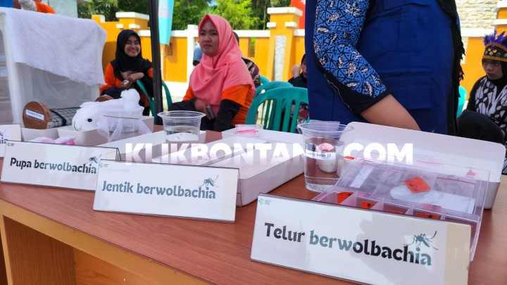 Penyebaran Bibit Nyamuk Wolbachia Efektif Tekan Kasus DBD di Bontang; Turun 60 Persen