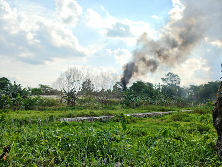 Kebakaran Lahan di Pisangan, Asap Tebal Membumbung