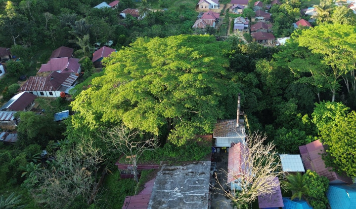 RSUD Abai, Pemkot Santai