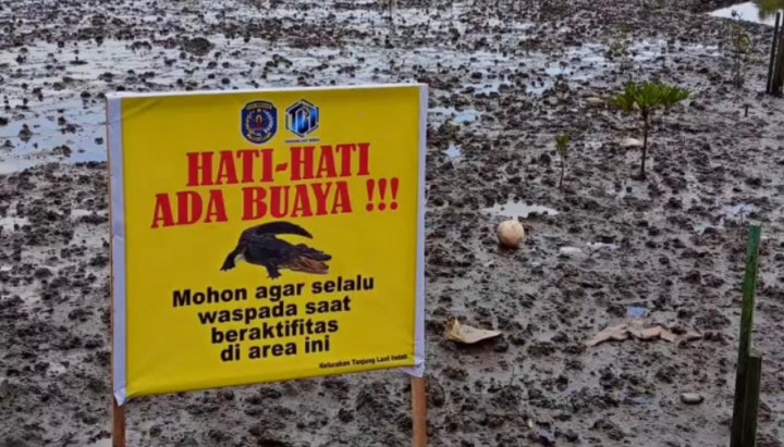 Petugas Pasang Papan Peringatan Usai Serangan Buaya di Tanjung Laut Indah