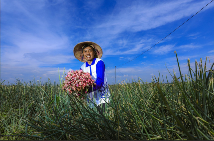 Stok Melimpah! Pupuk Indonesia Siapkan 1,2 Juta Ton Pupuk Subsidi untuk Musim Tanam Oktober-Maret