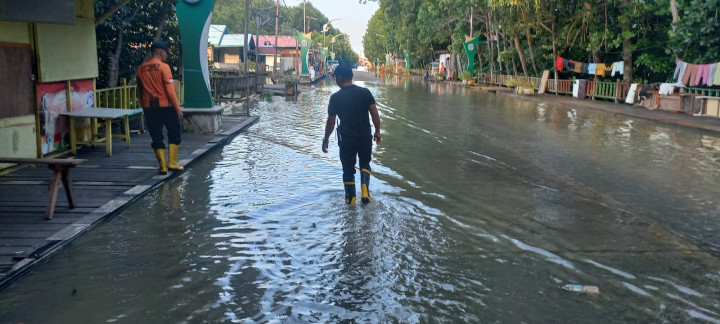 Banjir Rob Kembali Terjang Pesisir, Akses BK Lumpuh, Waspada Buaya