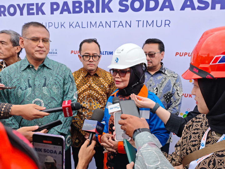 Lirik Pembangunan Pabrik Hilirisasi Soda Ash; DPM PTSP Siapkan Lahan, Janjikan Insentif ke Investor