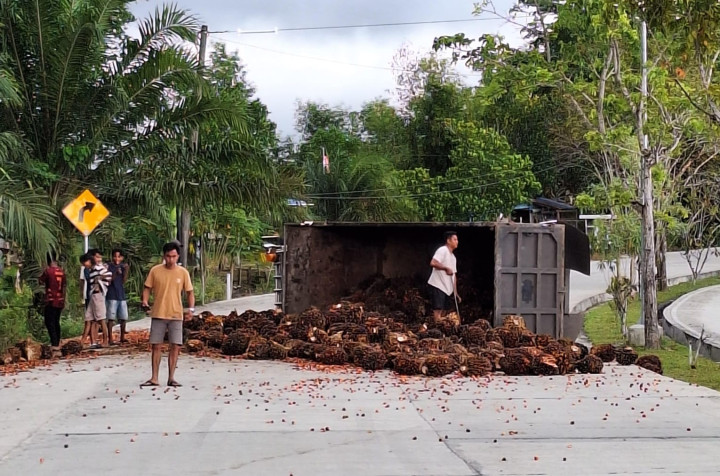 Truk Bermuatan Sawit Terguling Sebelum Tanjakan TPA Bontang Lestari