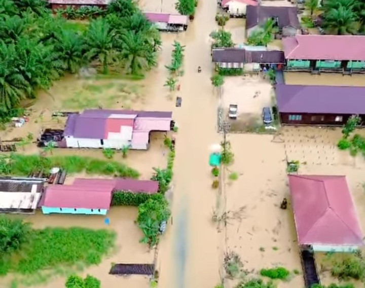 Sepekan Dilanda Banjir, Warga Desa Santan Tengah Rugi Ratusan Juta Rupiah Akibat Gagal Panen Sawit