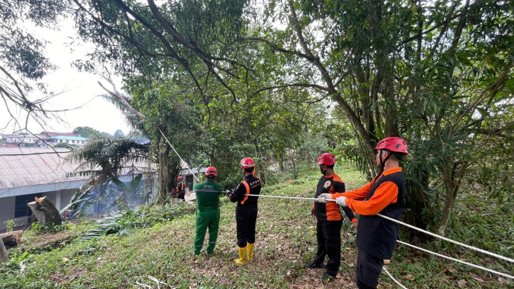 Antisipasi Pohon Tumbang, BPBD Bontang Pangkas 9 Pohon di Gunung Telihan