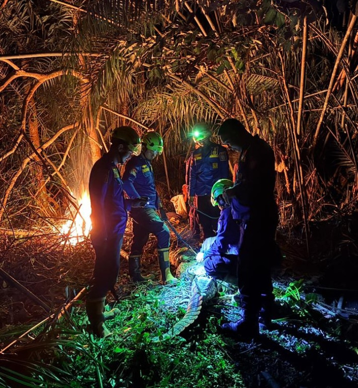 Berkenalan dengan 4 Warga Bontang 'Penakluk' Buaya; Solidaritas Teman Meninggal karena Diserang Predator di BSD