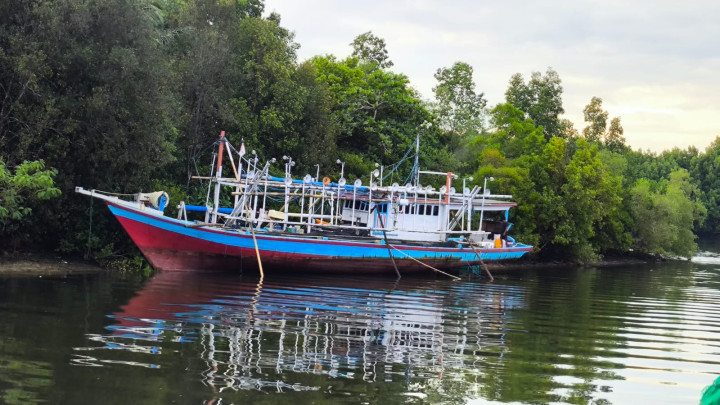 Ikut Bantu Perbaiki Kapal Seorang Remaja Diserang Buaya di Tanjung Limau; Alami Luka di Kepala
