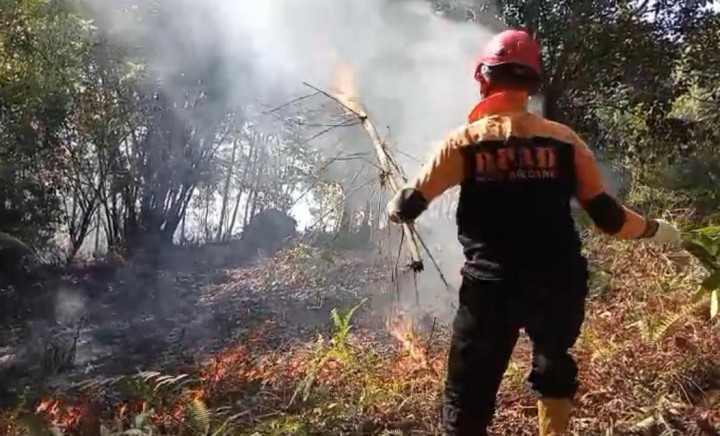 Kebakaran Lahan di Belakang RSUD Berhasil Dipadamkan Tim Gabungan