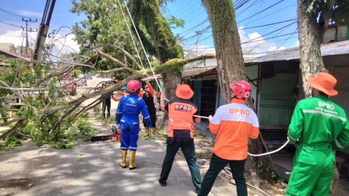 Antisipasi Tumbang, 10 Personel BPBD Pangkas Pohon di Kelurahan Gunung Telihan