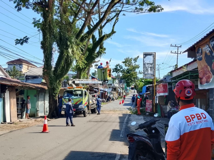 BPBD Pangkas 3 Pohon Rawan Tumbang di Gunung Telihan