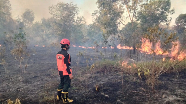 Dipicu Cuaca Ekstrim; Kasus Kebakaran Hutan dan Lahan di Bontang Meningkat