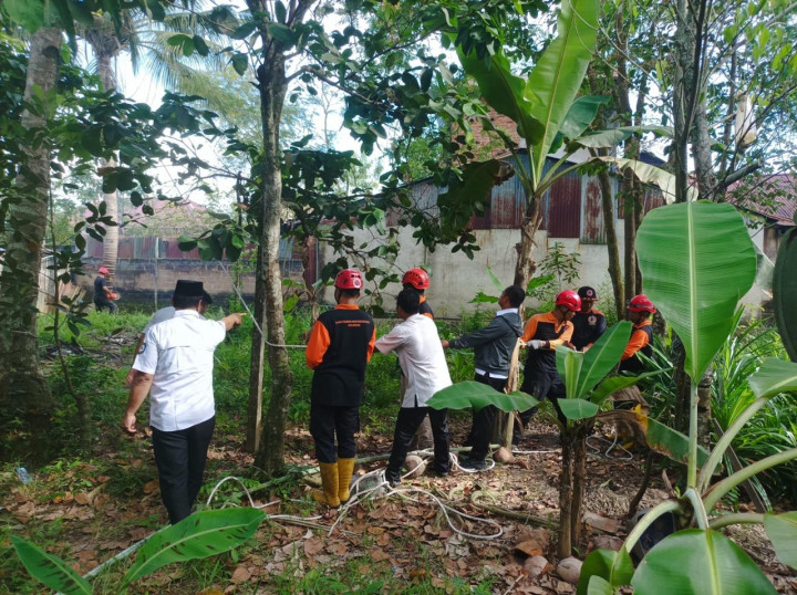 Sinergi BPBD dengan Berbagai Unsur Amankan Pohon Rawan Tumbang
