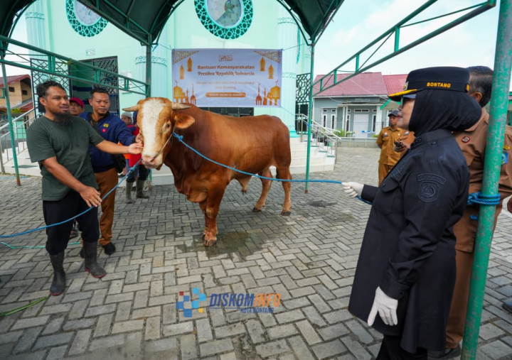Wali Kota Neni Serahkan Sapi Kurban Presiden untuk Masyarakat Bontang